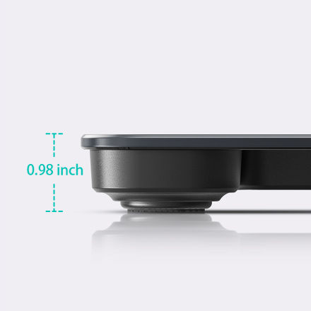 Smart Scale P1