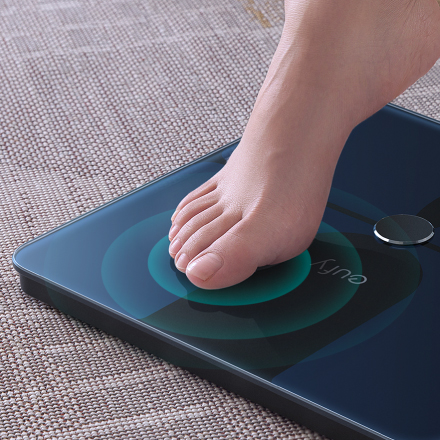 The Eufy BodySense Smart Scale just lowered in price on